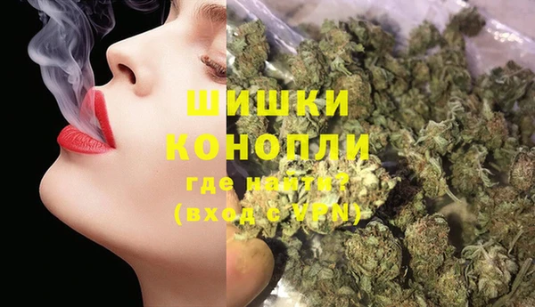дживик Майский