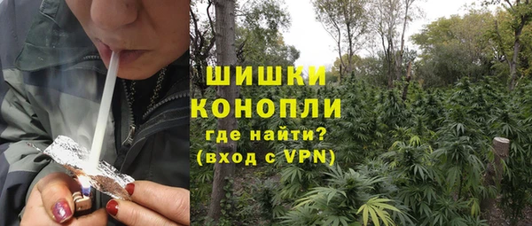 a pvp Магас