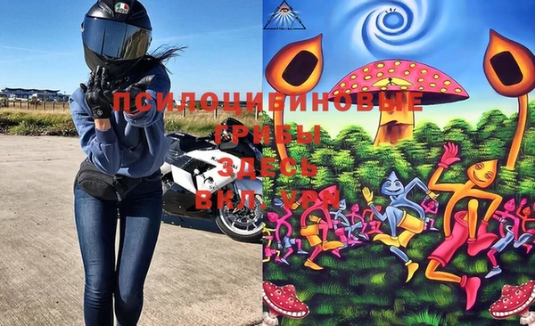 дживик Майский