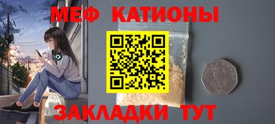 индика Кингисепп