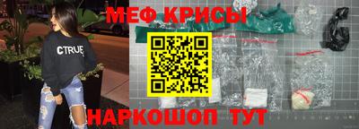 индика Кингисепп
