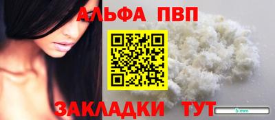 индика Кингисепп