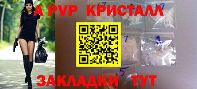 индика Кингисепп