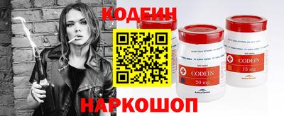 индика Кингисепп