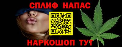 индика Кингисепп