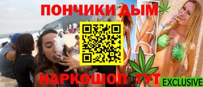 индика Кингисепп