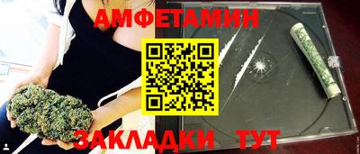 индика Кингисепп