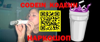 индика Кингисепп