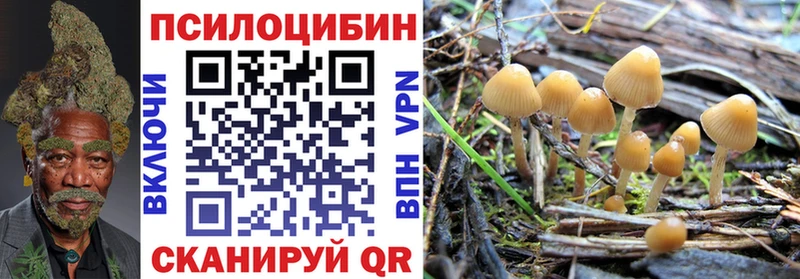 Галлюциногенные грибы Magic Shrooms  Нововоронеж 
