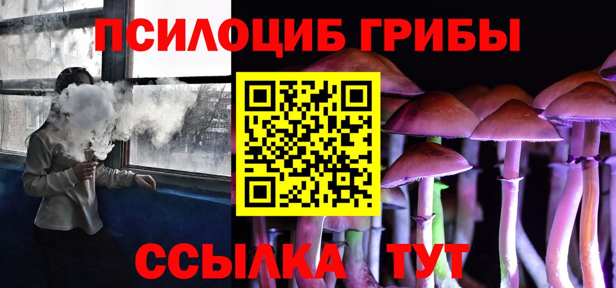 МЕФ Нововоронеж