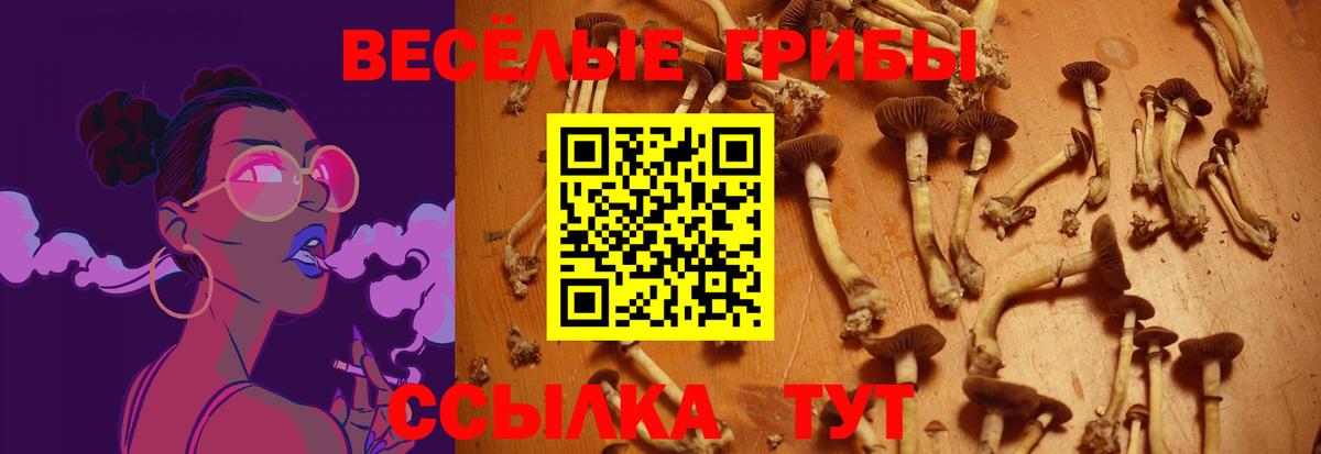 где найти   Нововоронеж  Псилоцибиновые грибы ЛСД 